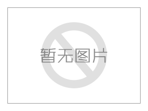 桑葚榨汁機(jī) 葡萄榨汁機(jī)